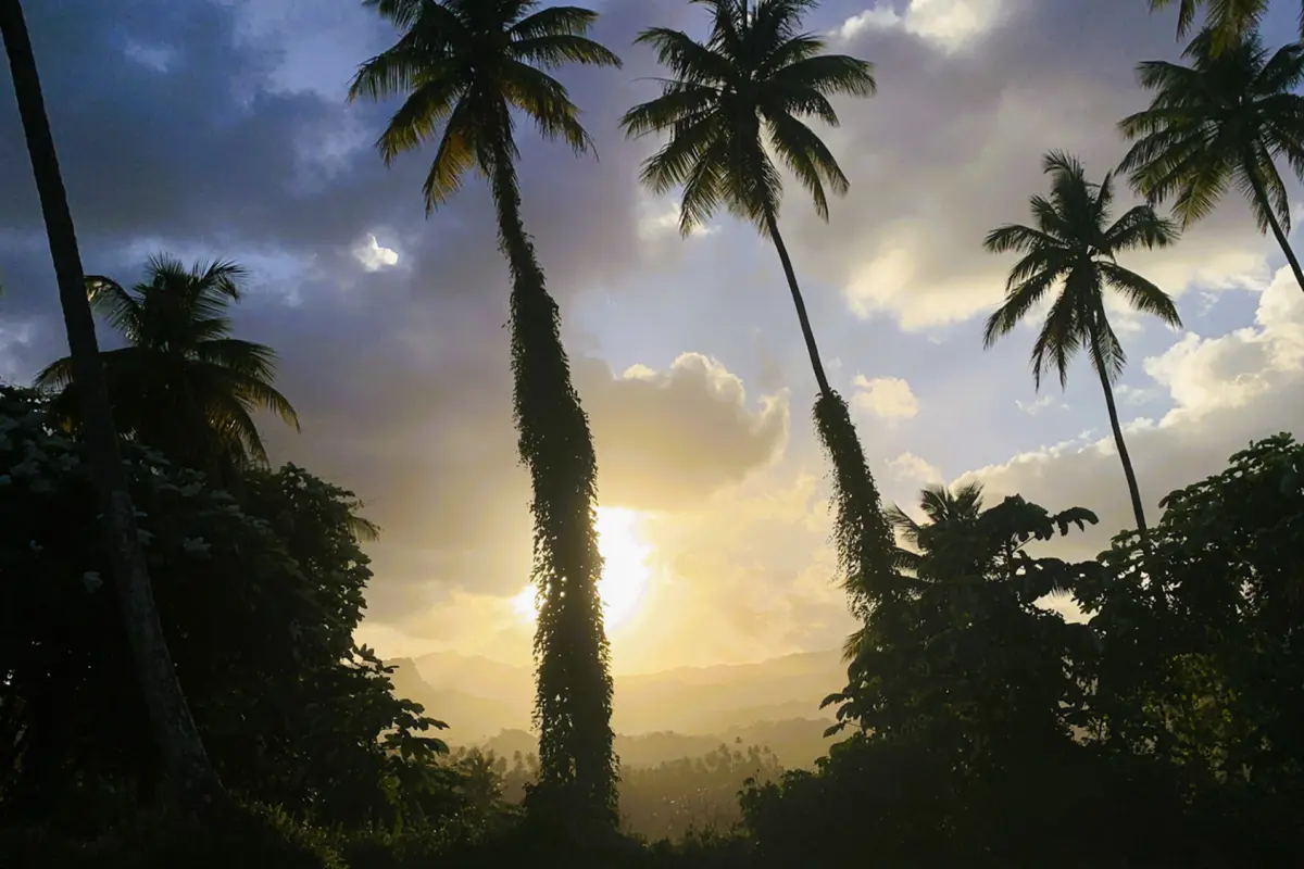  Image of Land for Resort Development for sale in St. Vincent-Byrea-St Vincent and the Grenadines, Image 9