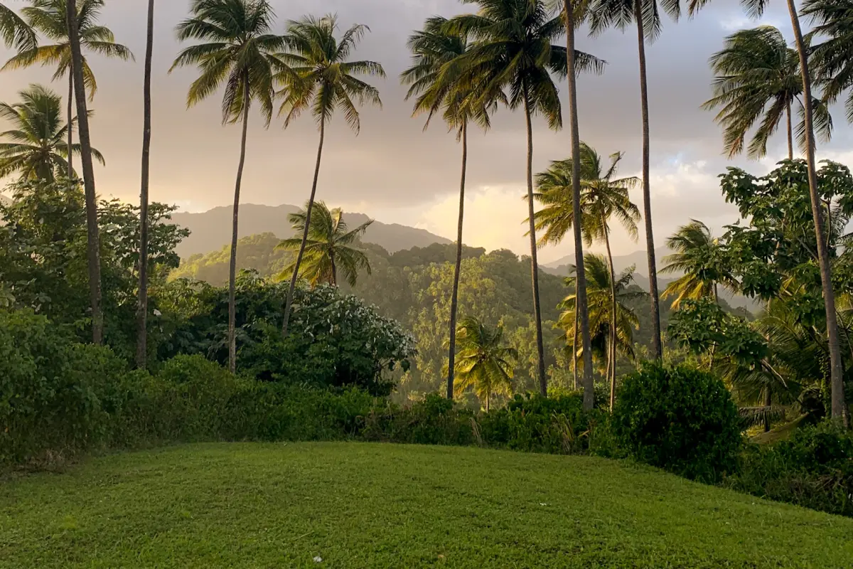  Image of Land for Resort Development for sale in St. Vincent-Byrea-St Vincent and the Grenadines, Image 12
