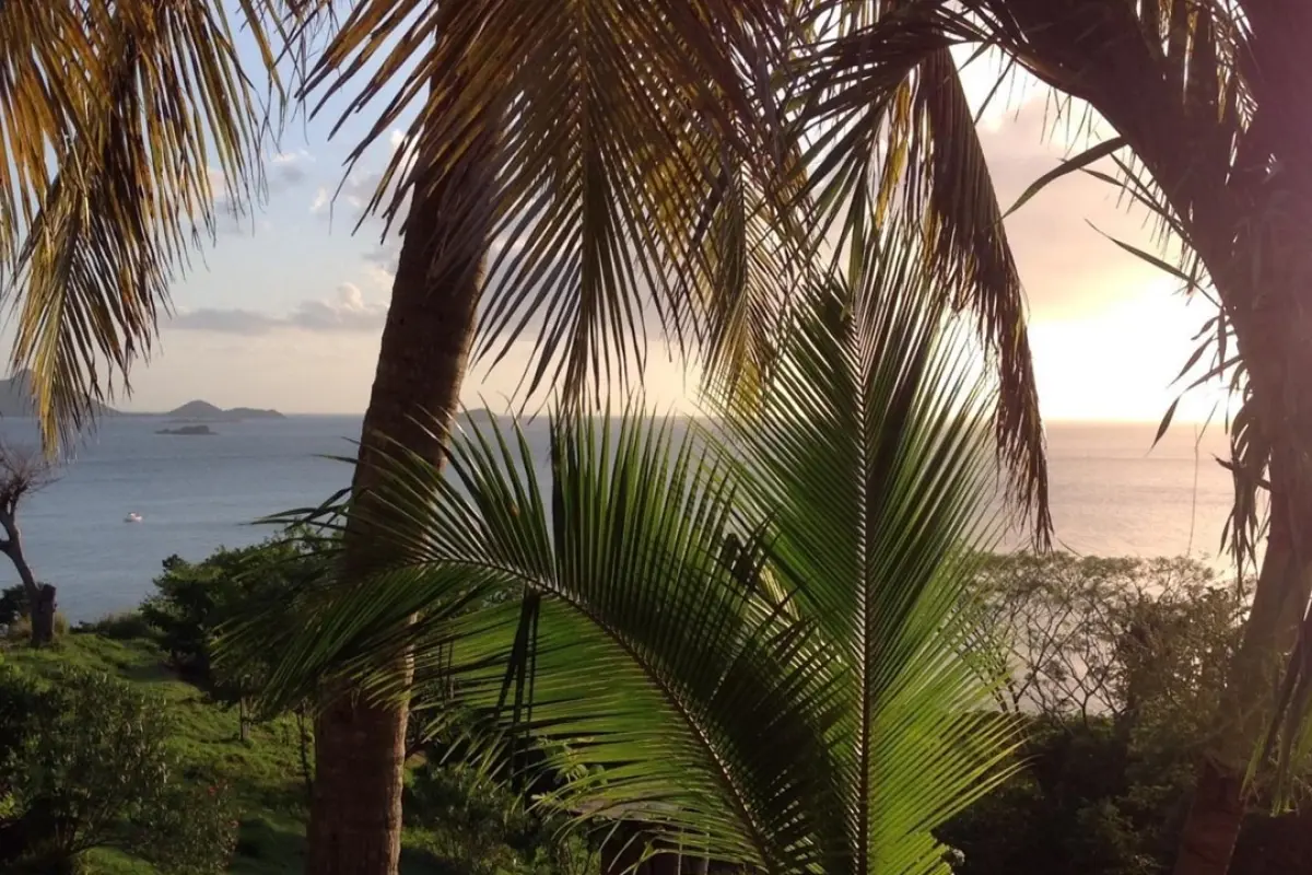  Image of Land for Resort Development for sale in Carriacou-St. John-St Vincent and the Grenadines, Image 6