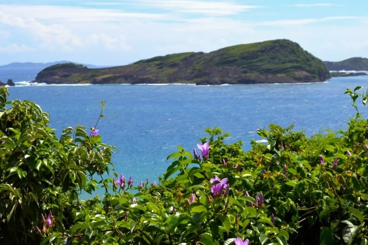  Image of Resorts & Private Islands for sale in Petit Nevis-Petit Nevis-St Vincent and the Grenadines, Image 10