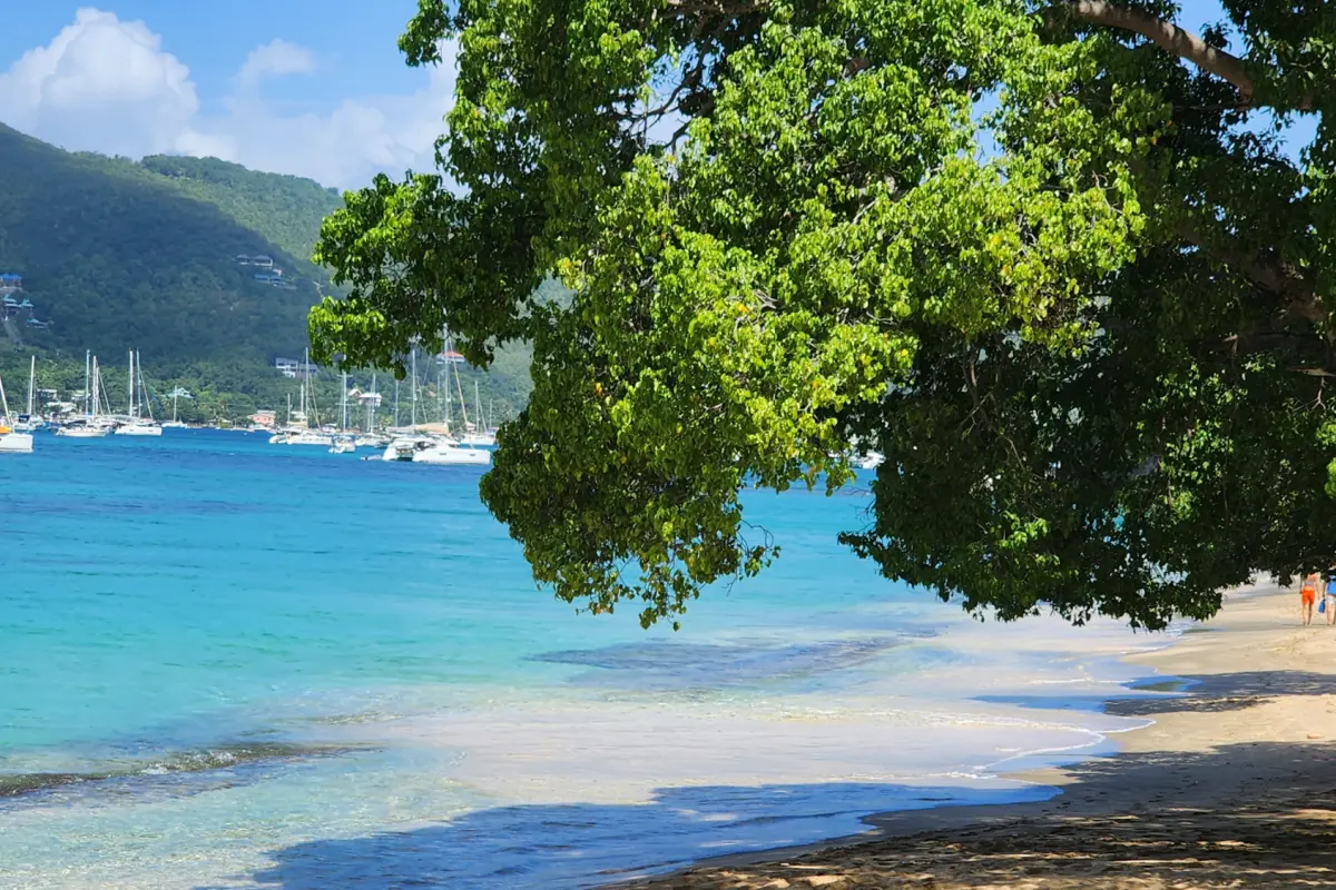  Image of Land for Your Dream Villa for sale in Bequia-Lower Bay-St Vincent and the Grenadines, Image 8