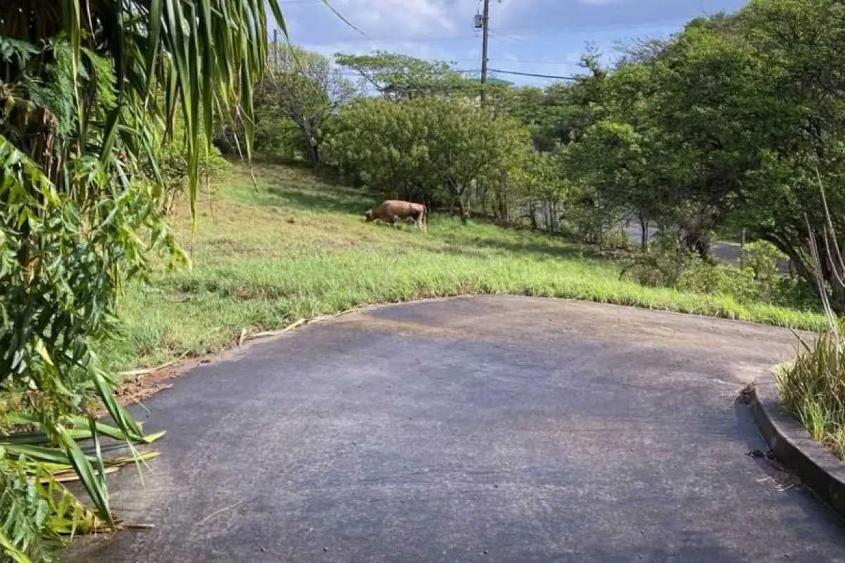 Image of Land for Your Dream Villa for Sale in Union Island-Clifton-St Vincent and the Grenadines, Image 3