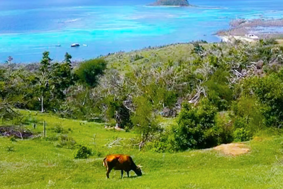 Image of Land for Your Dream Villa for Sale in Union Island-Clifton-St Vincent and the Grenadines, Image 1