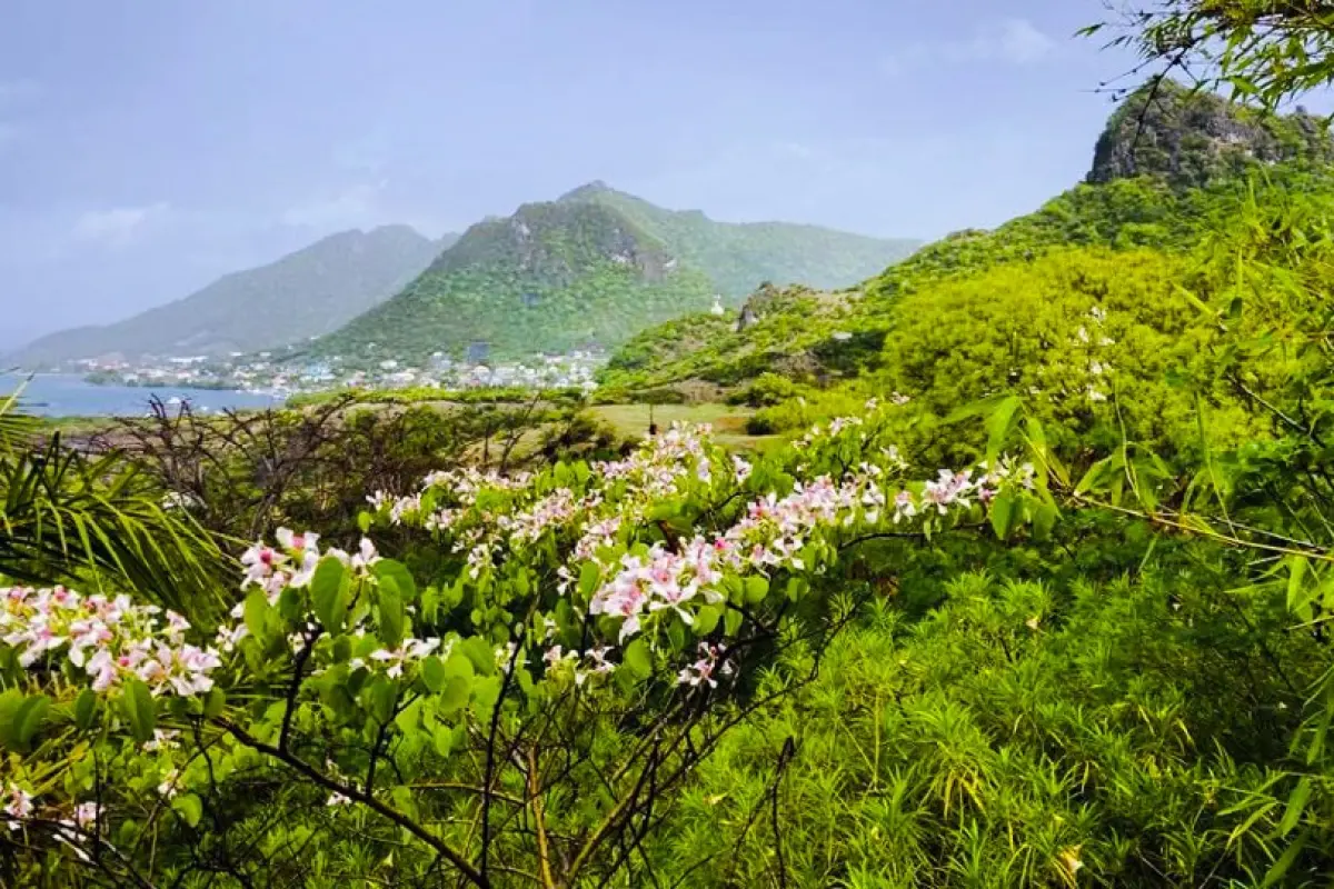 Image of Land for Your Dream Villa for Sale in Union Island-Clifton-St Vincent and the Grenadines, Image 4
