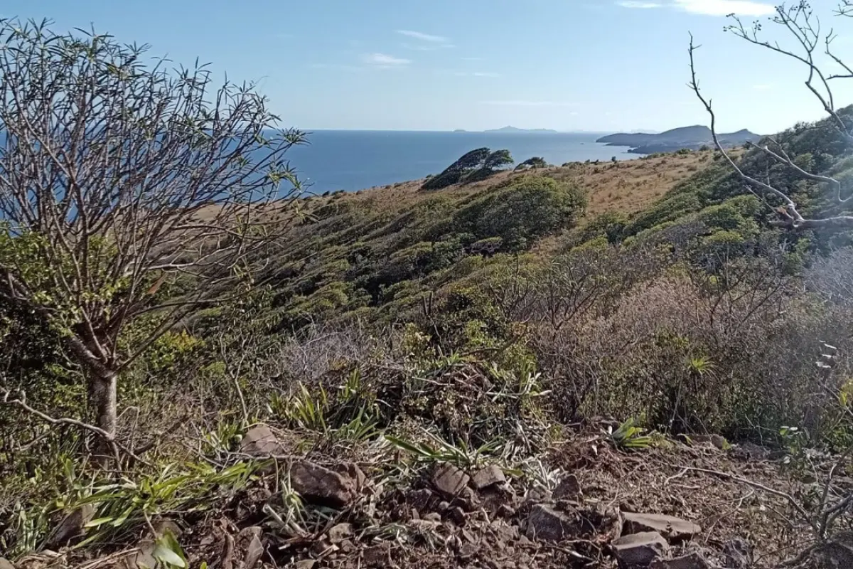 Image of Land for Your Dream Villa for Sale in Bequia-Mount Pleasant-St Vincent and the Grenadines, Image 2