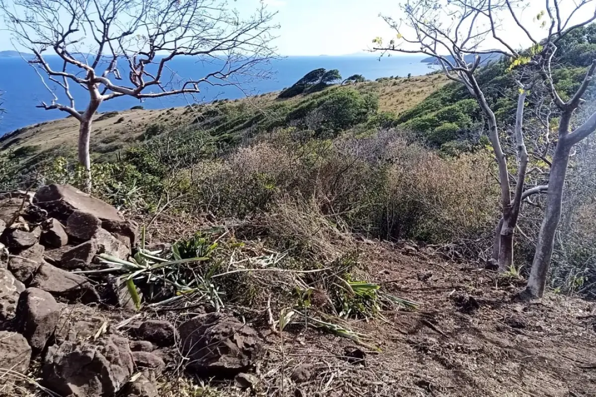 Image of Land for Your Dream Villa for Sale in Bequia-Mount Pleasant-St Vincent and the Grenadines, Image 3