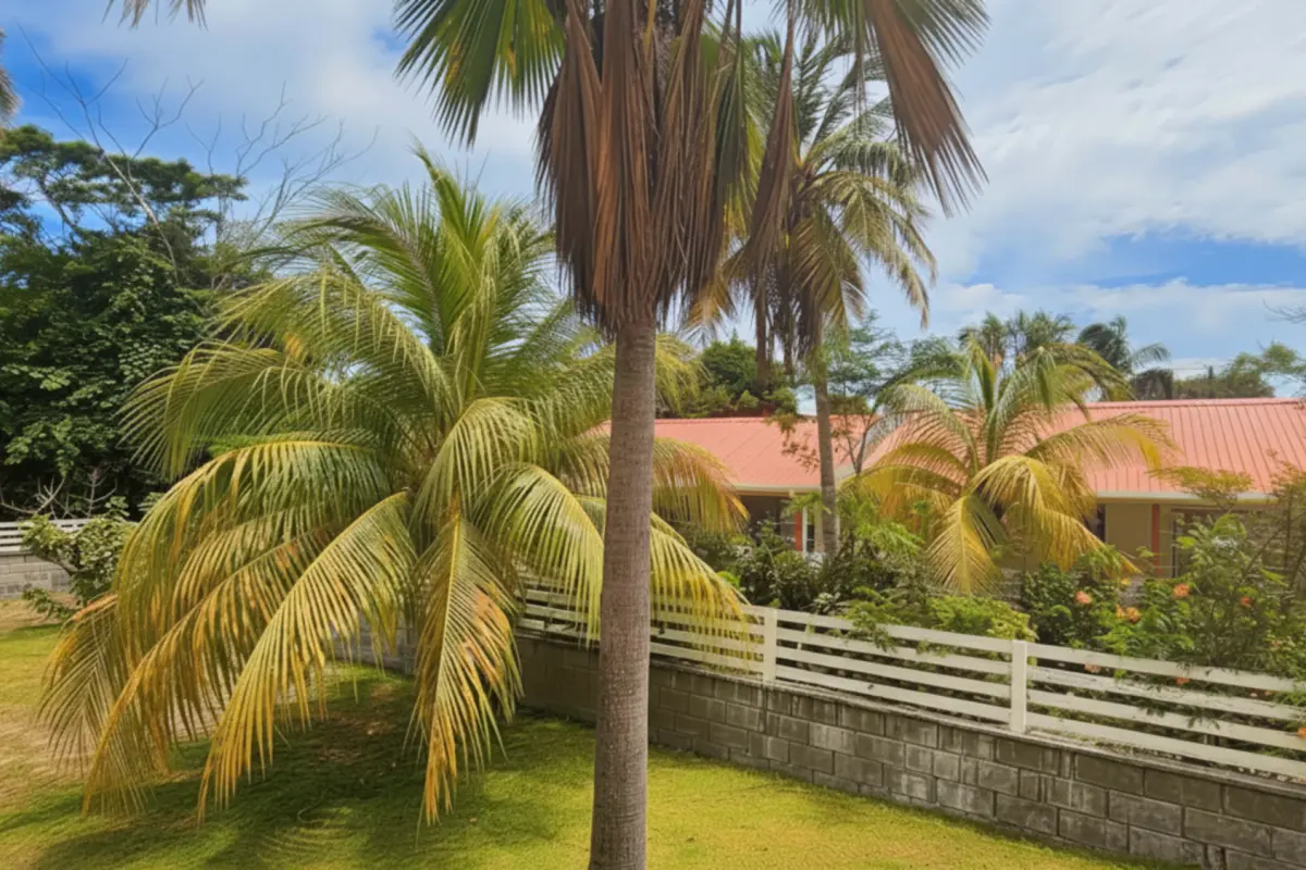 Image of Luxury Homes - 4 Bedrooms - 2 Bathrooms for Sale in Bequia-Lower Bay-St. Vincent & the Grenadines, Image 4