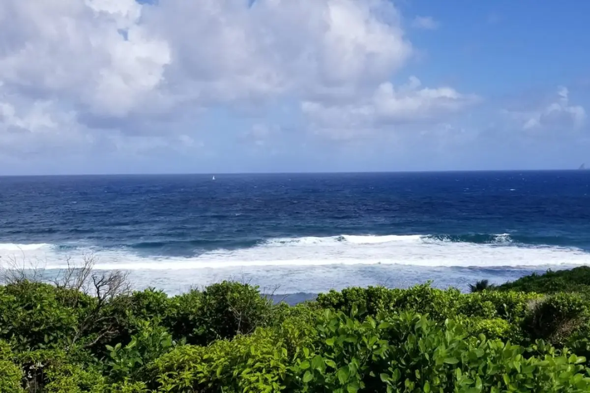  Image of Luxury Homes - 3 Bedrooms - 4 Bathrooms for sale in Bequia-L'Ansecoy Bay-St. Vincent & the Grenadines, Image 29