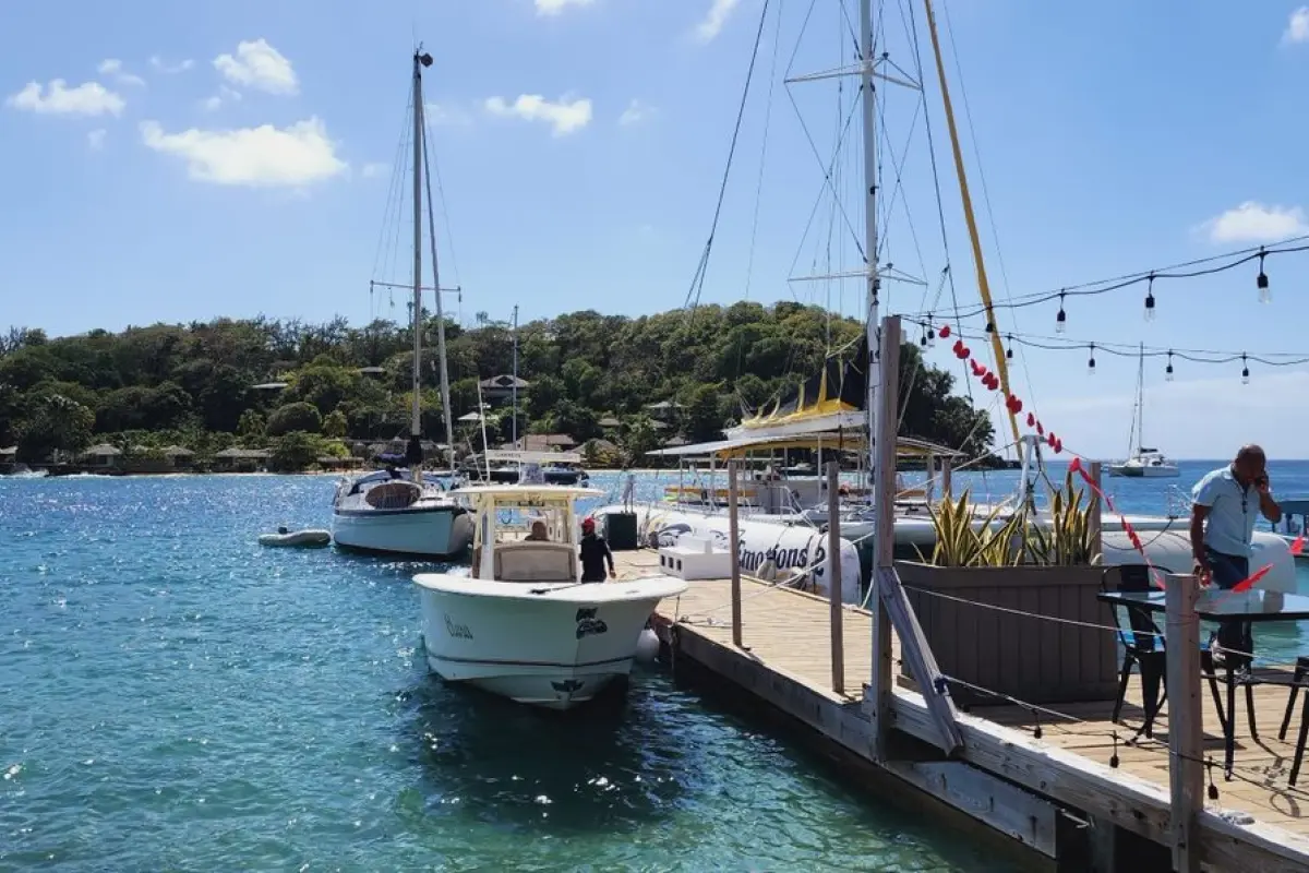 Image of Resorts & Private Islands for sale in Young Island-Young Island-St. Vincent & the Grenadines, Image 65