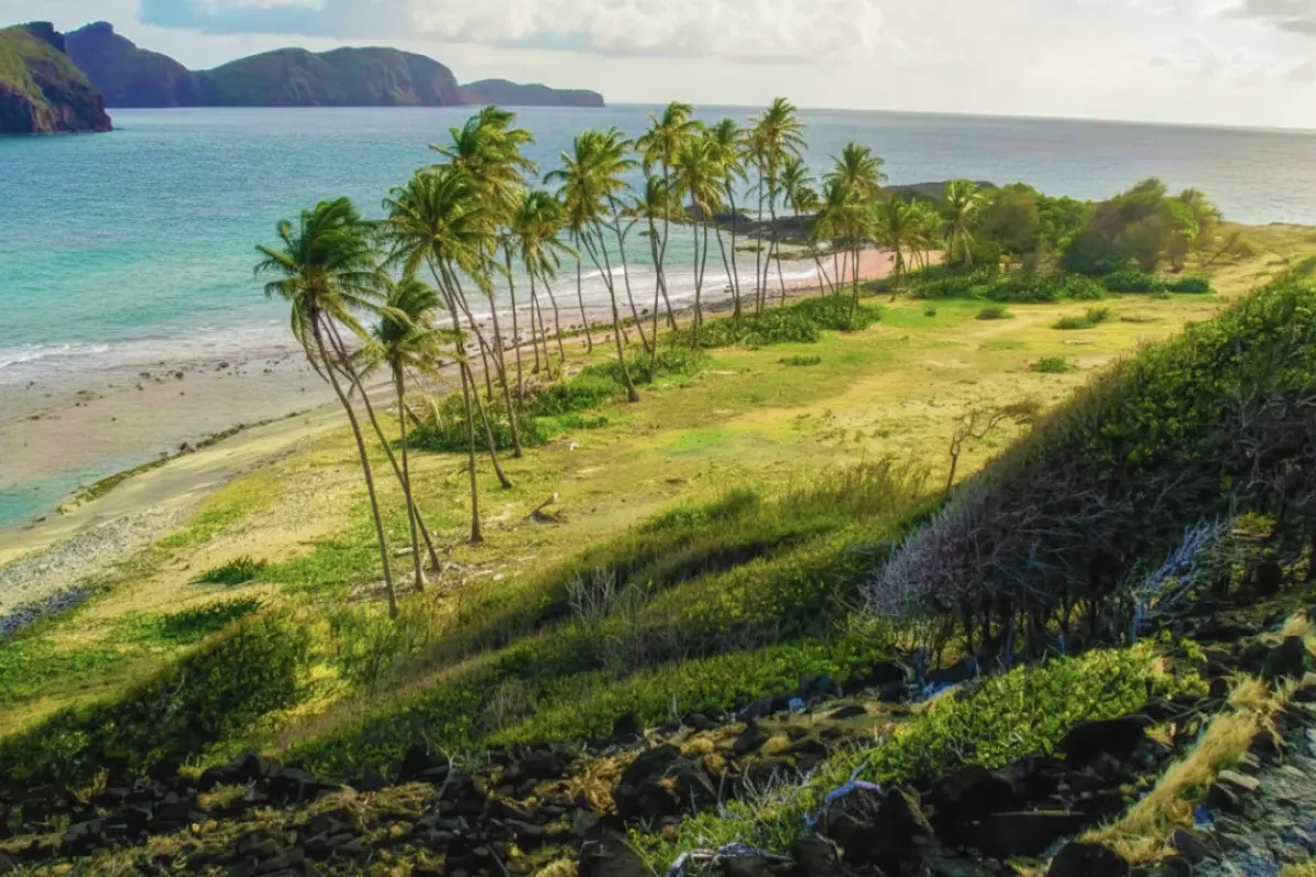  Image of Commercial for sale in Petit Nevis-Petit Nevis-St. Vincent & the Grenadines, Image 9