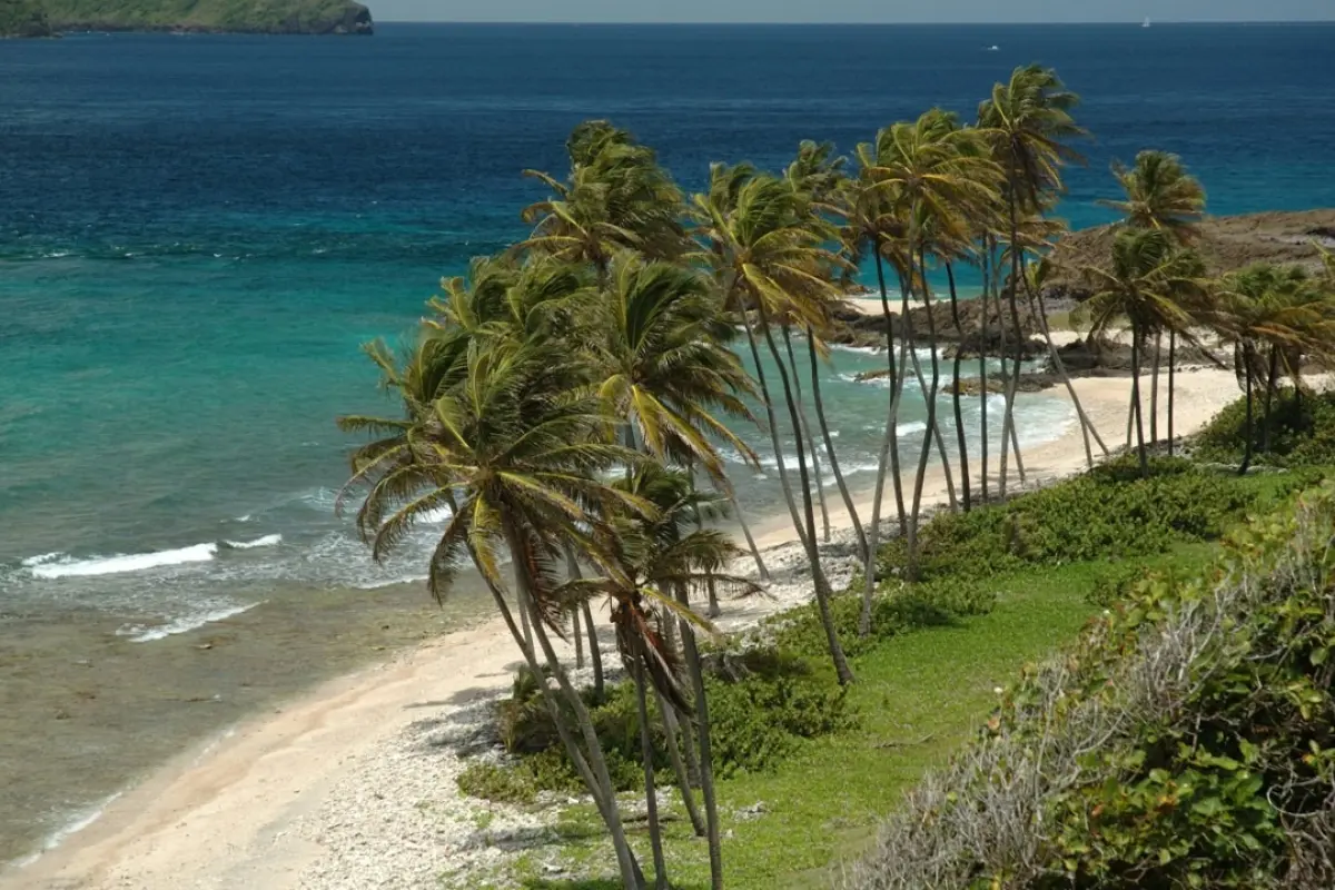 Image of Commercial for Sale in Petit Nevis-Petit Nevis-St. Vincent & the Grenadines, Image 4