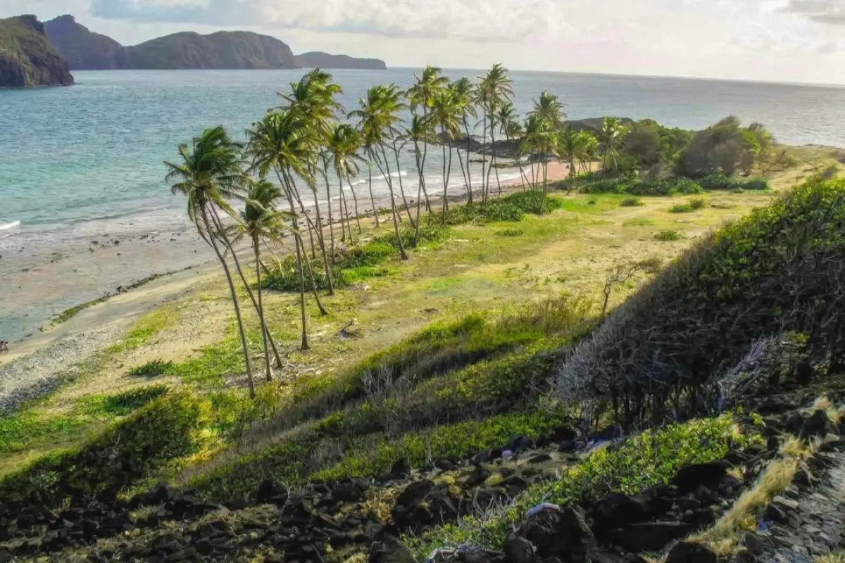  Image of Commercial for sale in Petit Nevis-Petit Nevis-St. Vincent & the Grenadines, Image 11