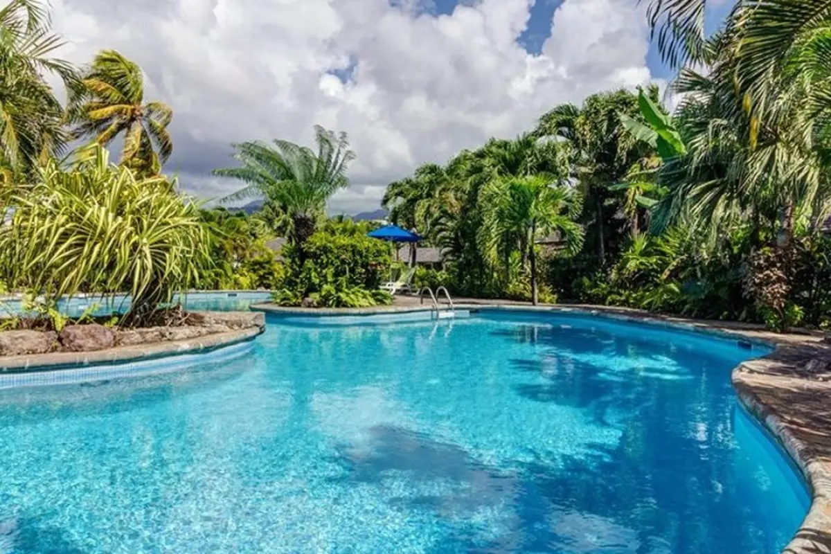  Image of Commercial for sale in Young Island-Young Island-St. Vincent & the Grenadines, Image 7