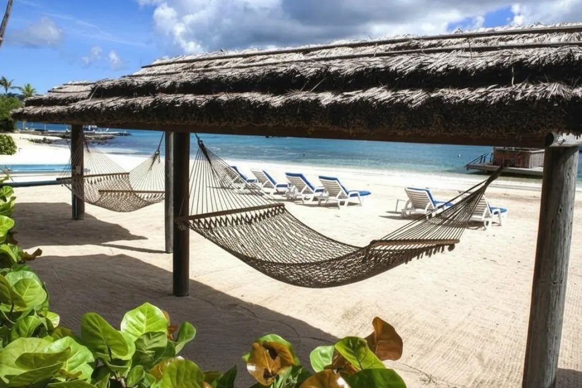  Image of Commercial for sale in Young Island-Young Island-St. Vincent & the Grenadines, Image 12