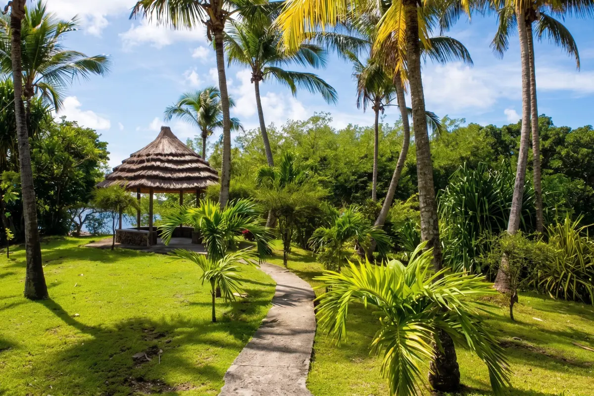  Image of Commercial for sale in Young Island-Young Island-St. Vincent & the Grenadines, Image 14
