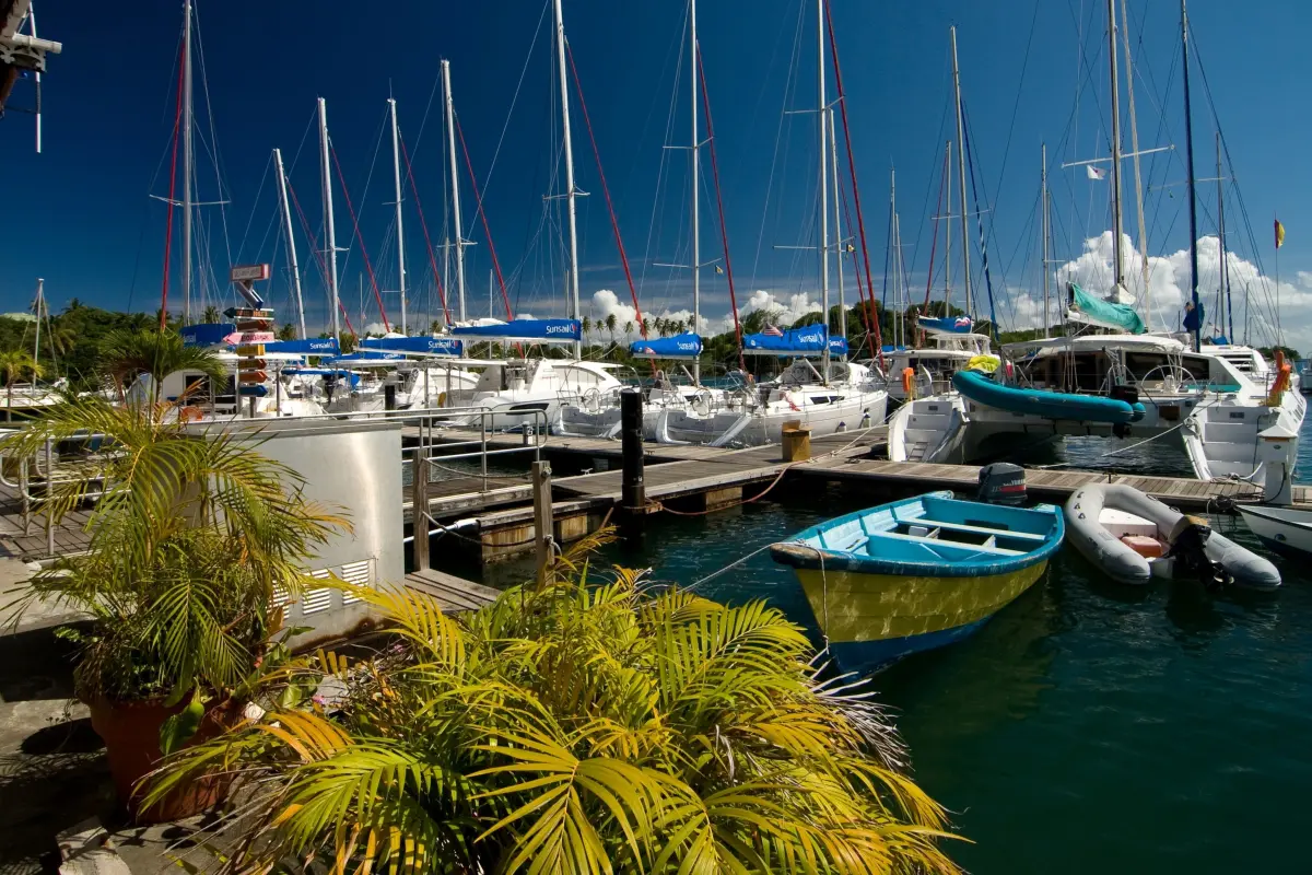  Image of Commercial for sale in Young Island-Young Island-St. Vincent & the Grenadines, Image 37